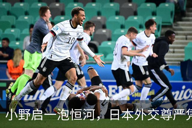 小野启一泡恒河，日本外交尊严凭什么被牺牲？